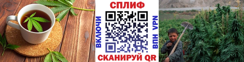 Canna-Cookies марихуана  Купить где  Белый 