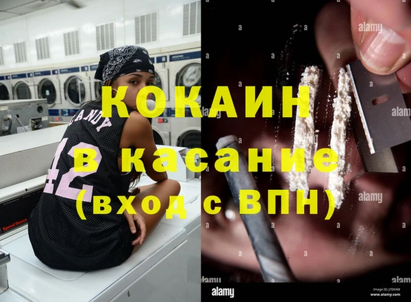 индика Армянск