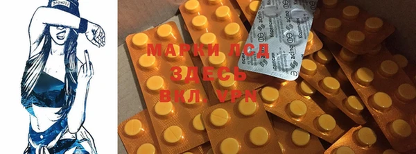 индика Армянск