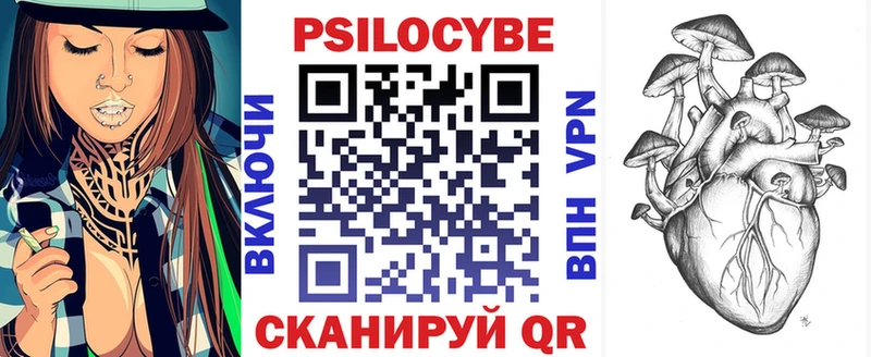 Купить где  Белый  Галлюциногенные грибы GOLDEN TEACHER 